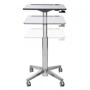Ergotron LearnFit® Sit-Stand Desk Short Mobile Student Desk (24-547-003)