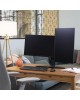 Ergotron Neo-Flex® Dual LCD Monitor Lift Stand Two-Monitor Mount (33-396-085) Ergotron Neo-Flex® Dual LCD Monitor Lift Stand Two-Monitor Mount (33-396-085)