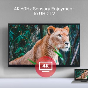 Unitek 4K 60Hz USB-C to HDMI 2.0 and VGA Adapter with MST Dual Monitor (V1126A) Unitek 4K 60Hz USB-C to HDMI 2.0 and VGA Adapter with MST Dual Monitor (V1126A)
