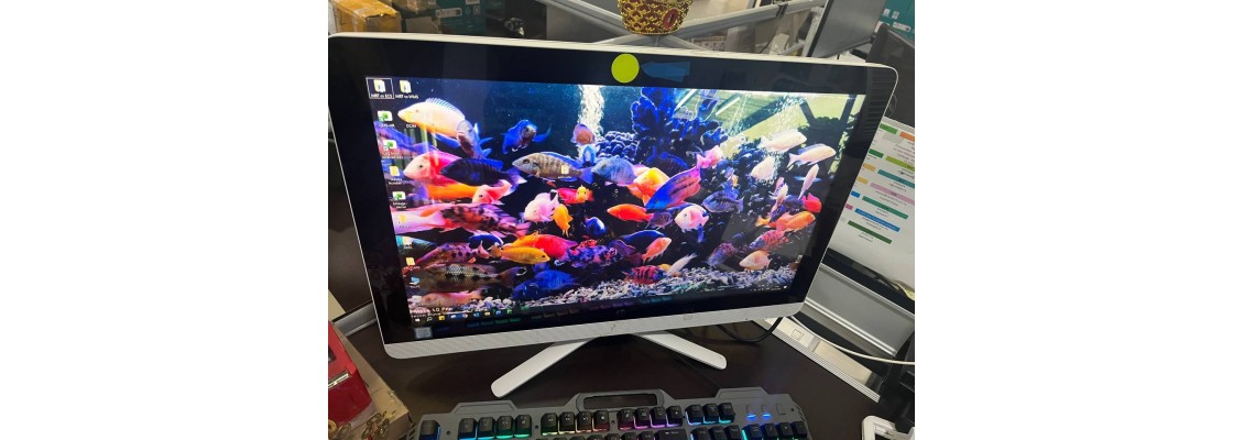 Case Studies: HP All-in-One - 22-b201d Lagging Issues