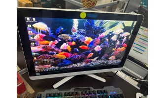 Case Studies: HP All-in-One - 22-b201d Lagging Issues