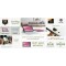 Asus Chromebook Advanced Detachable CM3001DM2A-R70392 520 8GB 128GB Chrome